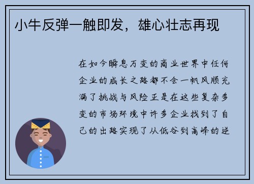 小牛反弹一触即发，雄心壮志再现
