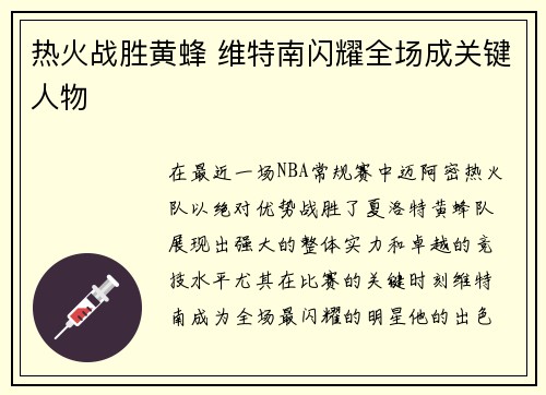 热火战胜黄蜂 维特南闪耀全场成关键人物
